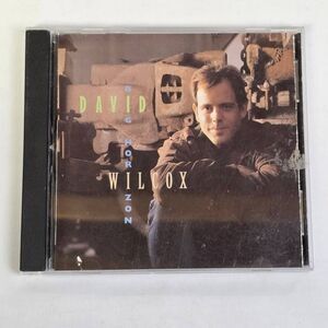 David Wilcox Big Horizon CD Album Pre-owned